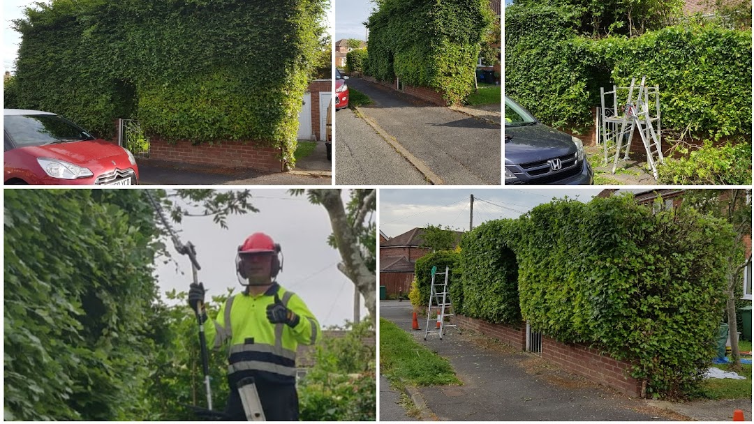 Hedge Cutting in Gloucestershire Garden Maintenance in Gloucestershire